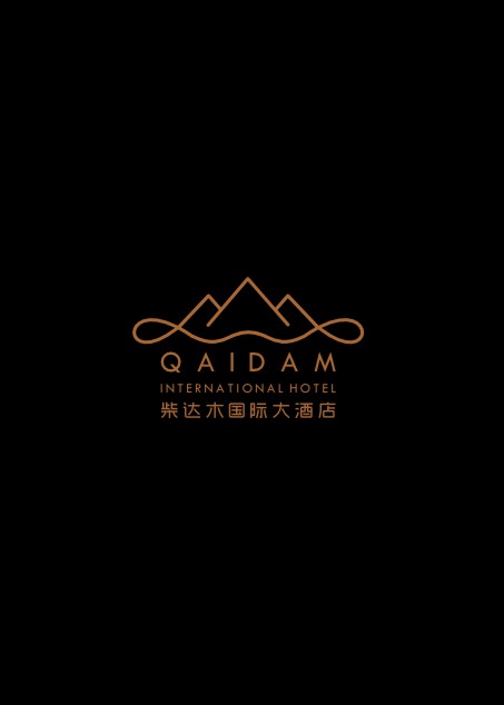 柴达木国际大酒店VI