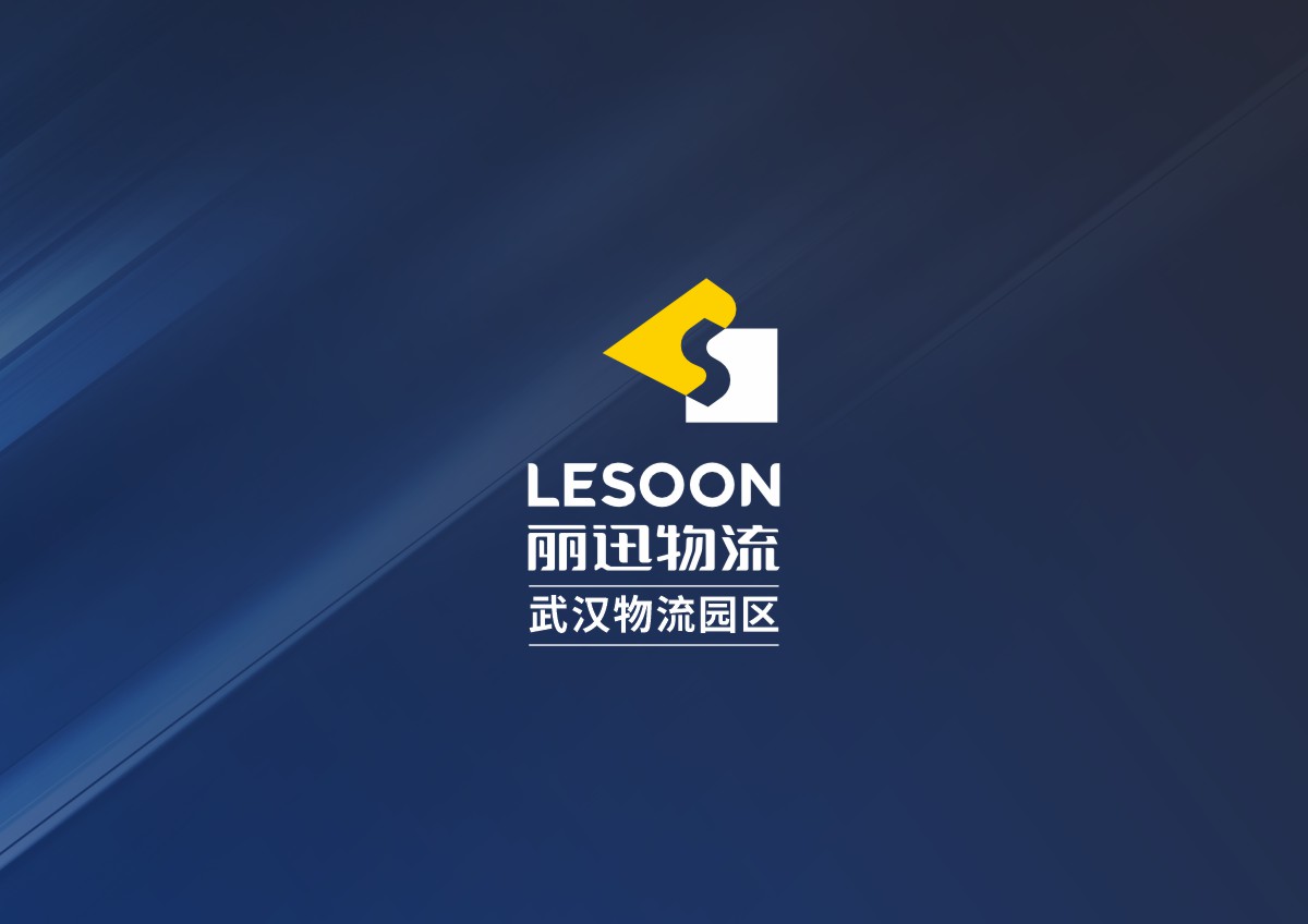 丽迅导视工程案例001.JPG
