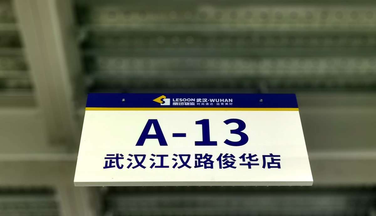 丽迅导视工程案例007.JPG